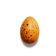 Quail Egg Amber Amber Classic-chokolade & lakridskaramel