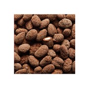 Ristede spanske mandler, mørk chokolade Guayas 71%, praline, Læsø-sydesalt og grué.