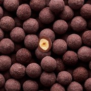 Piemonte-hasselnødder, Praliné, Amber Noir-chokolade og brombær