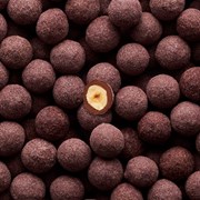 Noisette Noir Piemonte-hasselnødder, Praliné, Amber Noir-chokolade og brombær
