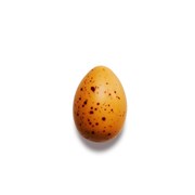 Quail Egg Amber Amber Classic-chokolade & lakridskaramel