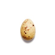 Quail Egg Praliné Praliné, fleur d’orange & hvid chokolade